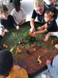 Teaching in the toddler room Teaching